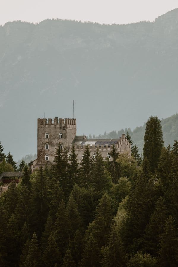 Stone castle rising above a misty mountain forest