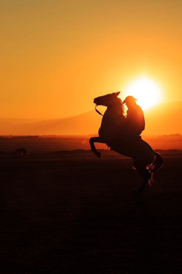 Rider on a rearing horse silhouetted at sunset